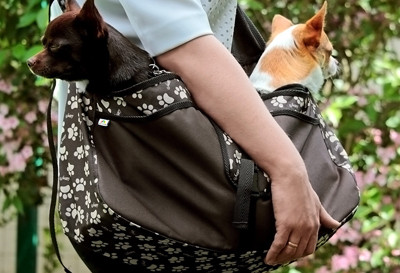 Beverly Hills Hundetragetasche, L